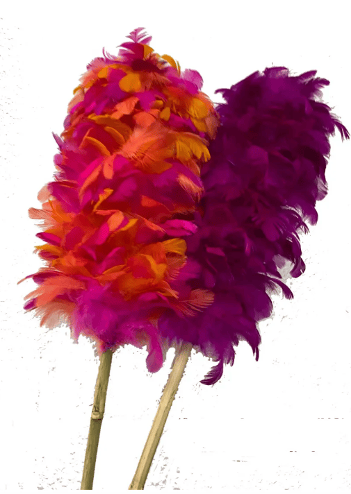 Plumero de pluma